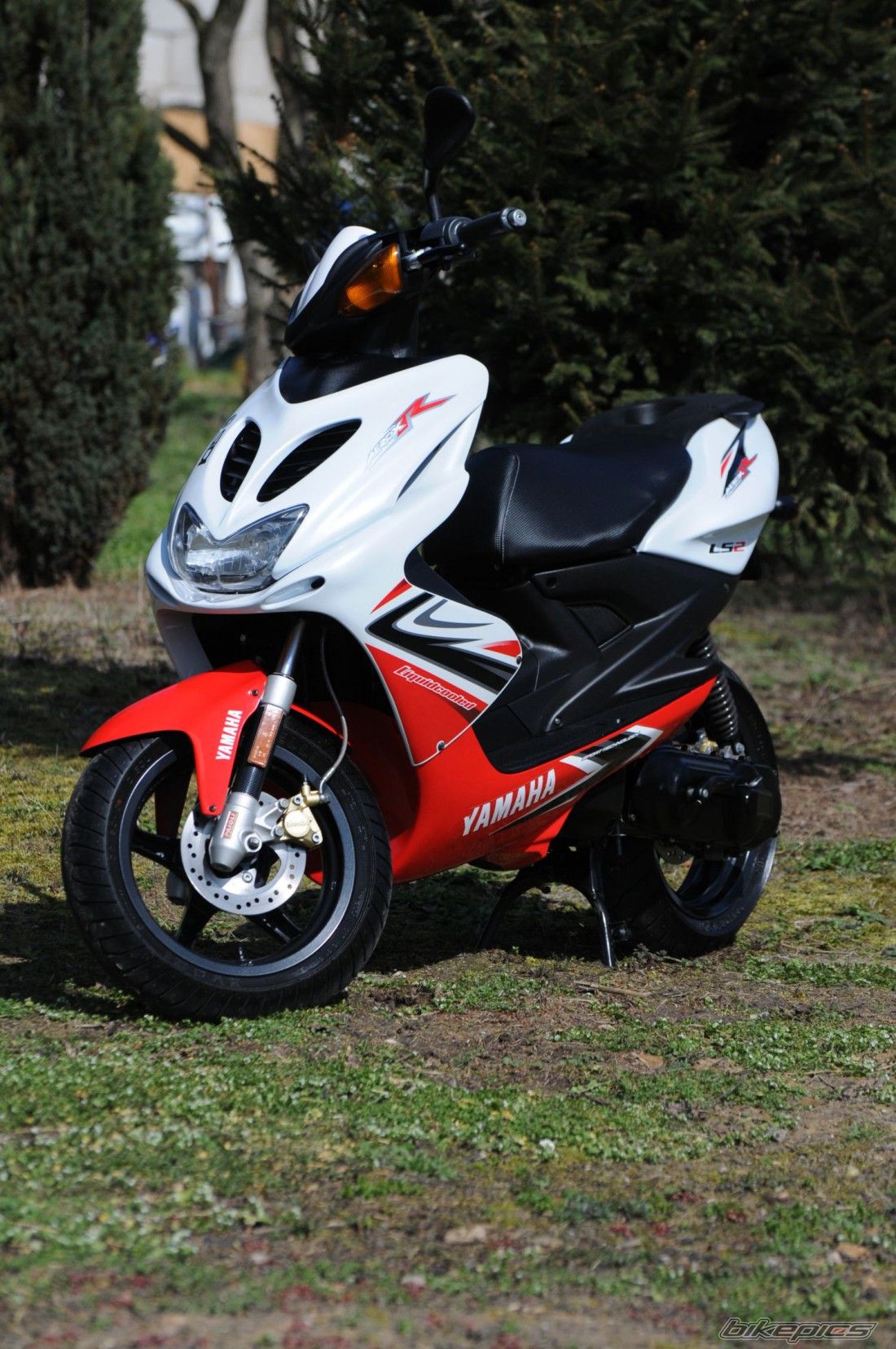 Photo 2577486