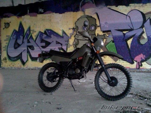 Photo 2577595