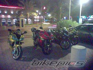 Photo 257761