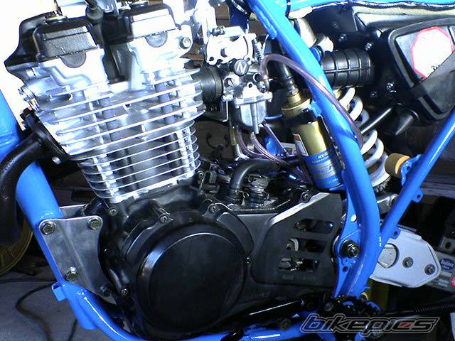 Photo 257771