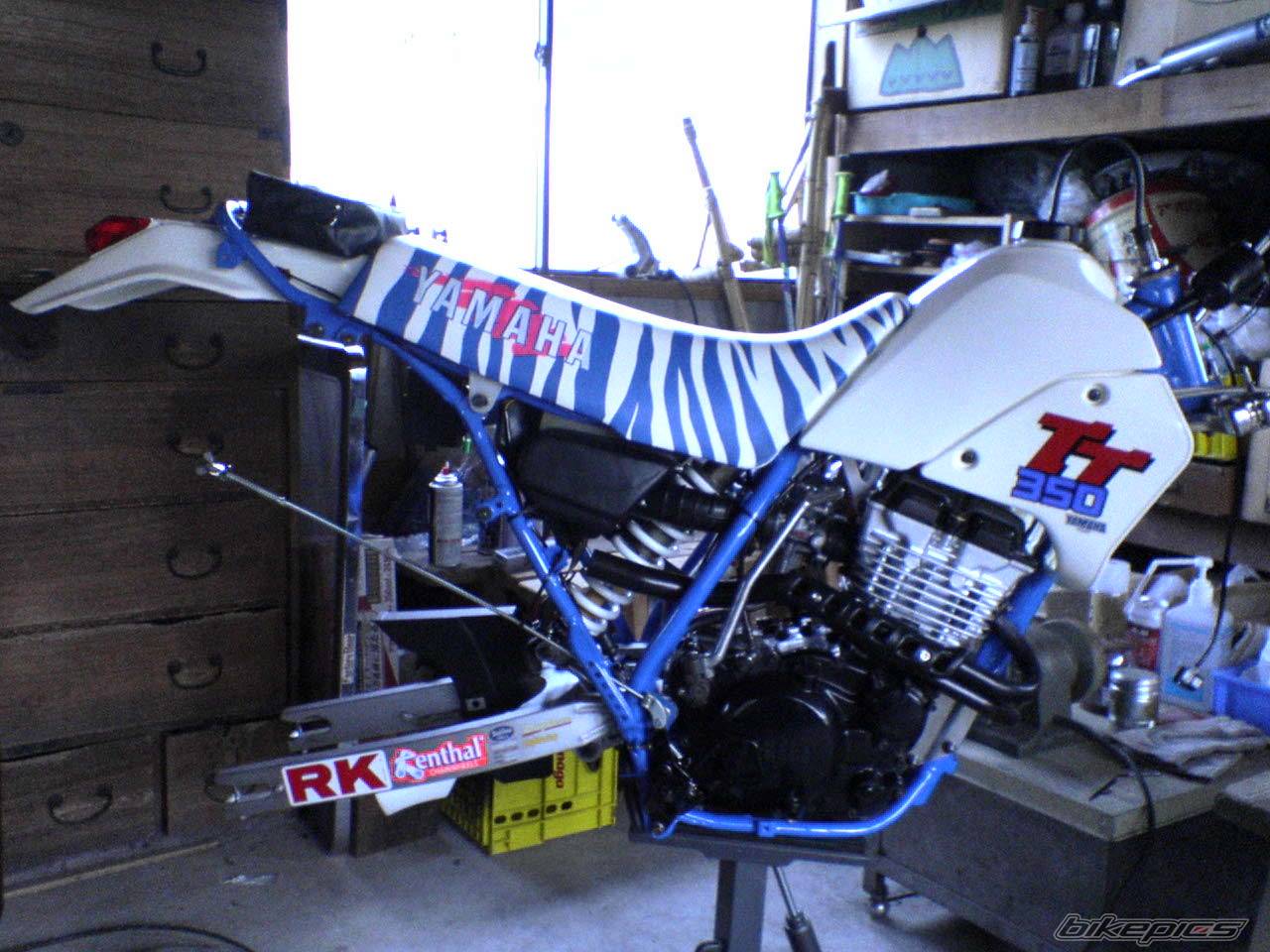 Photo 257772