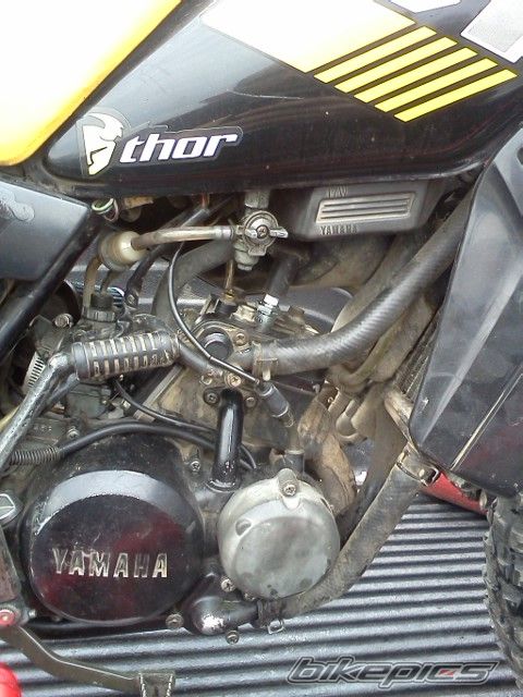 Photo 2577770