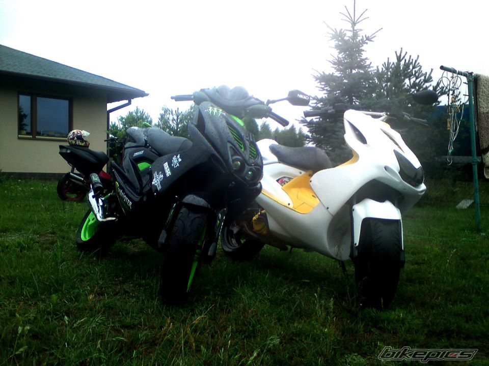 Photo 2577787