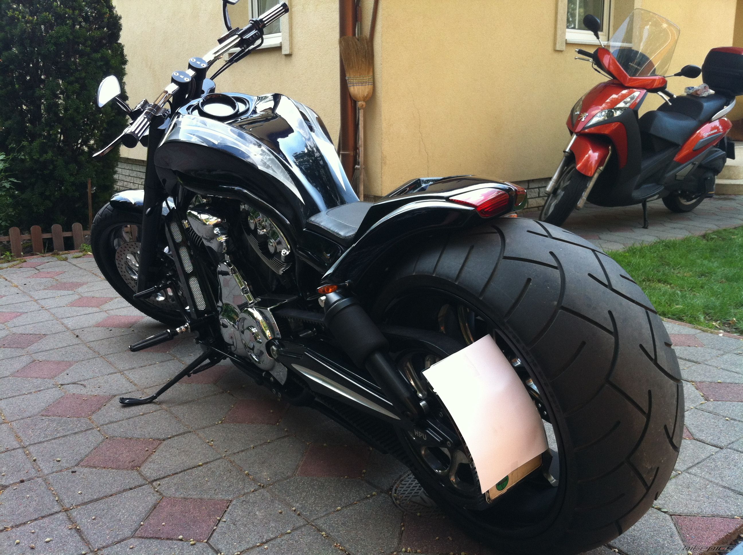 Photo 2577861