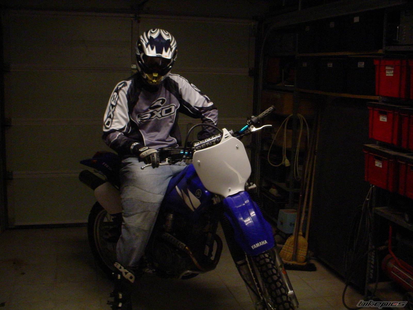 Photo 257789