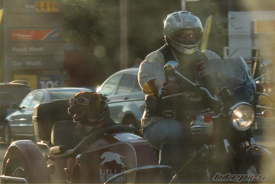 Photo 2577895