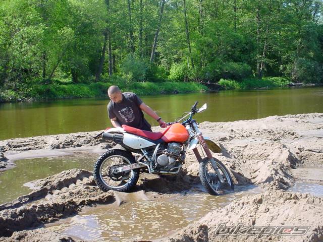 Photo 25779