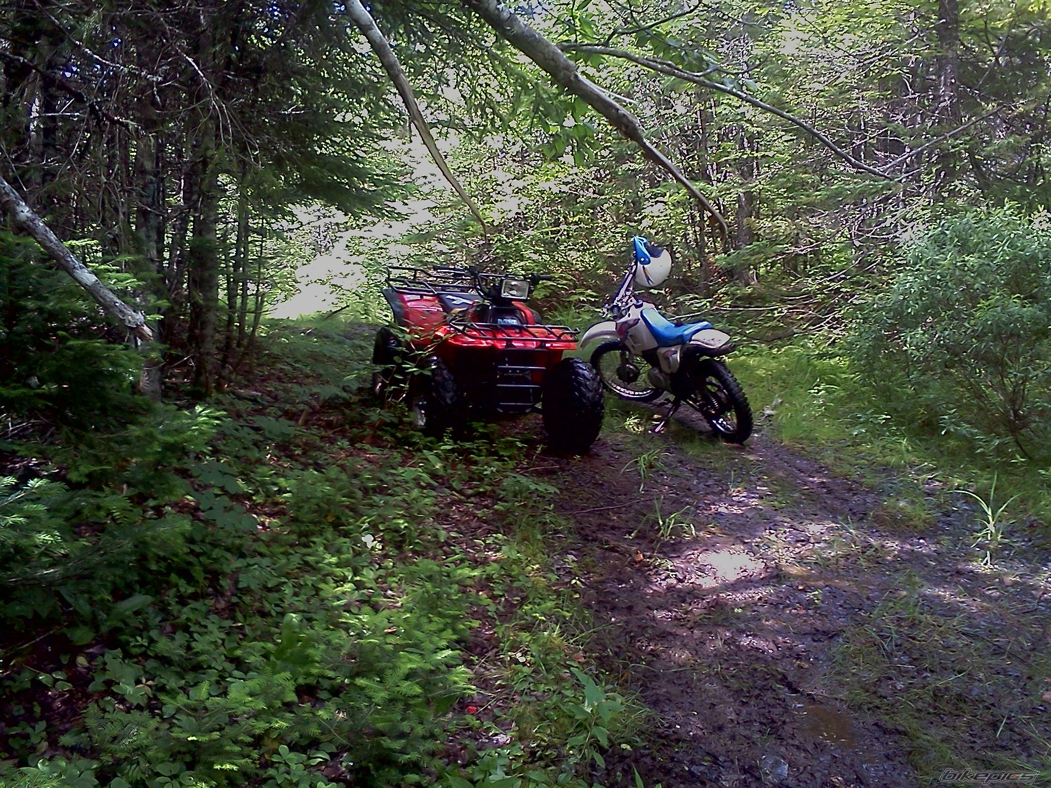 Photo 2577917