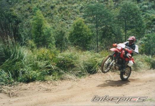 Bike Photo 257806