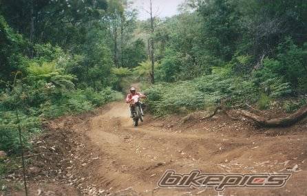 Bike Photo 257807