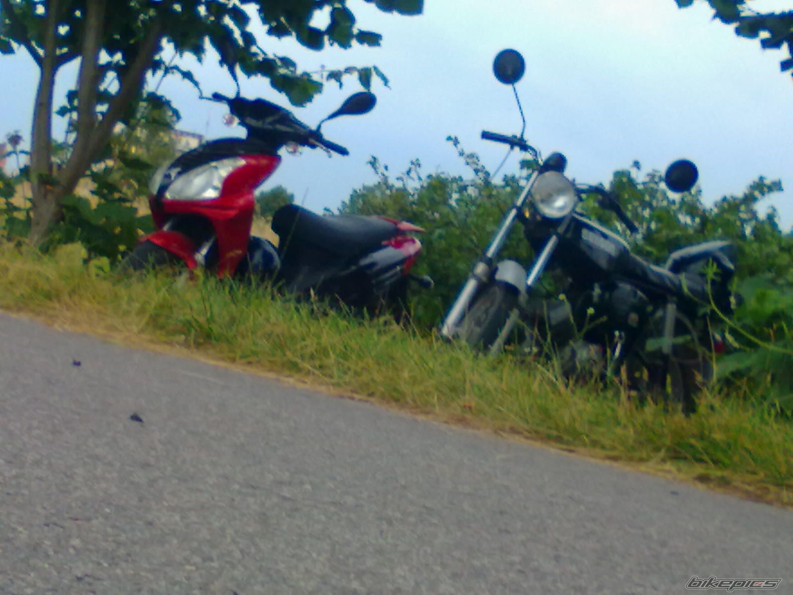 Photo 2578088