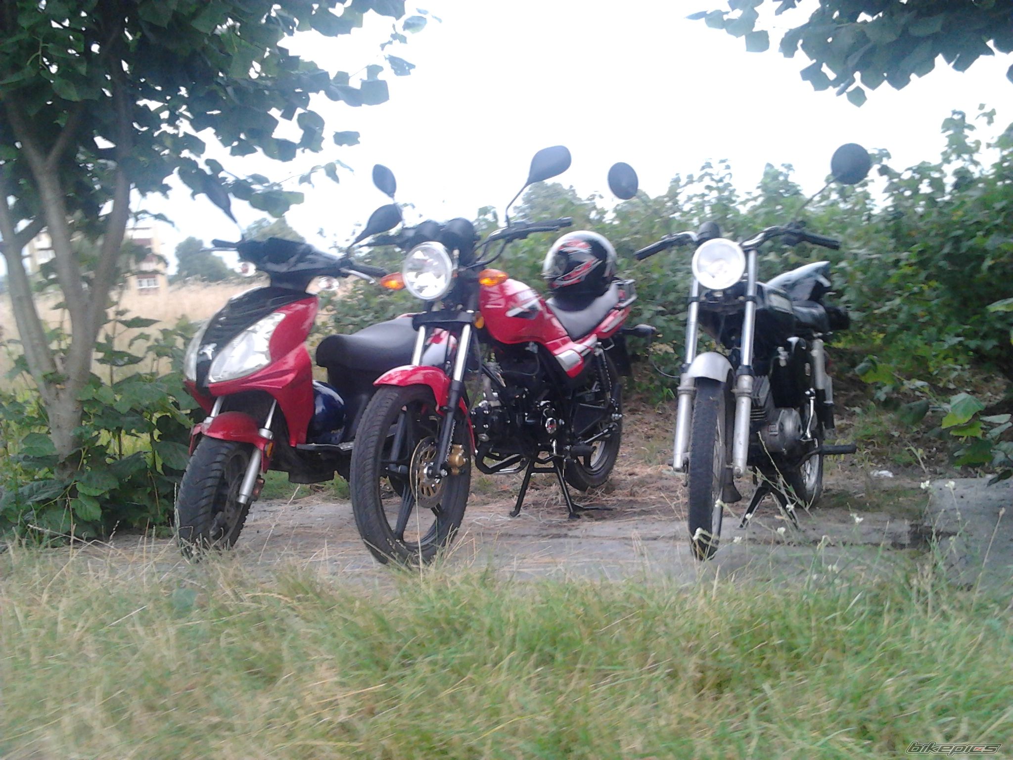 Photo 2578089