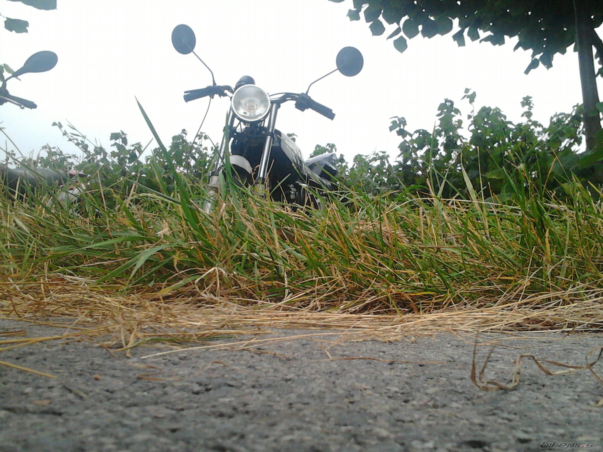 Photo 2578092