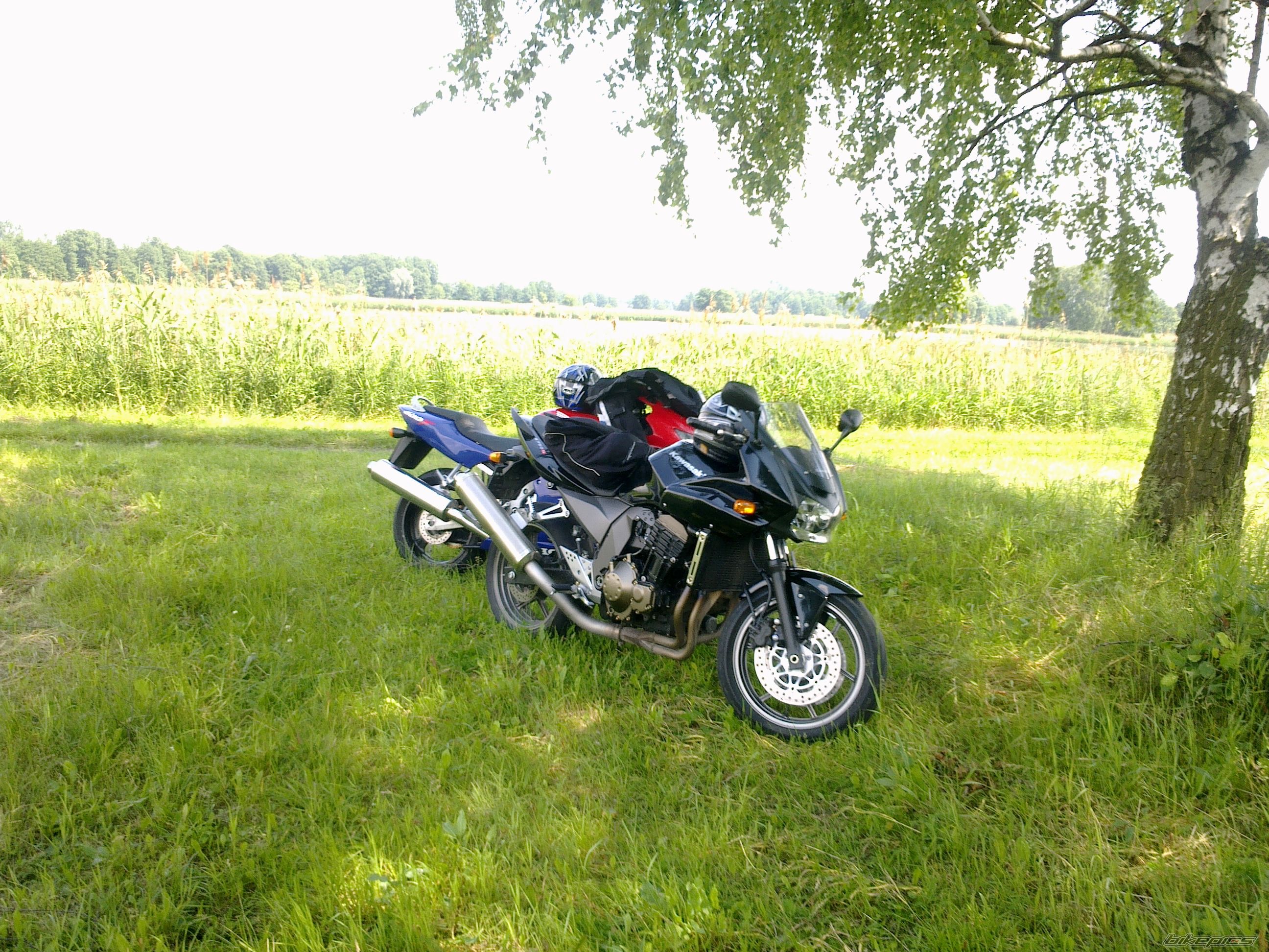 Photo 2578131