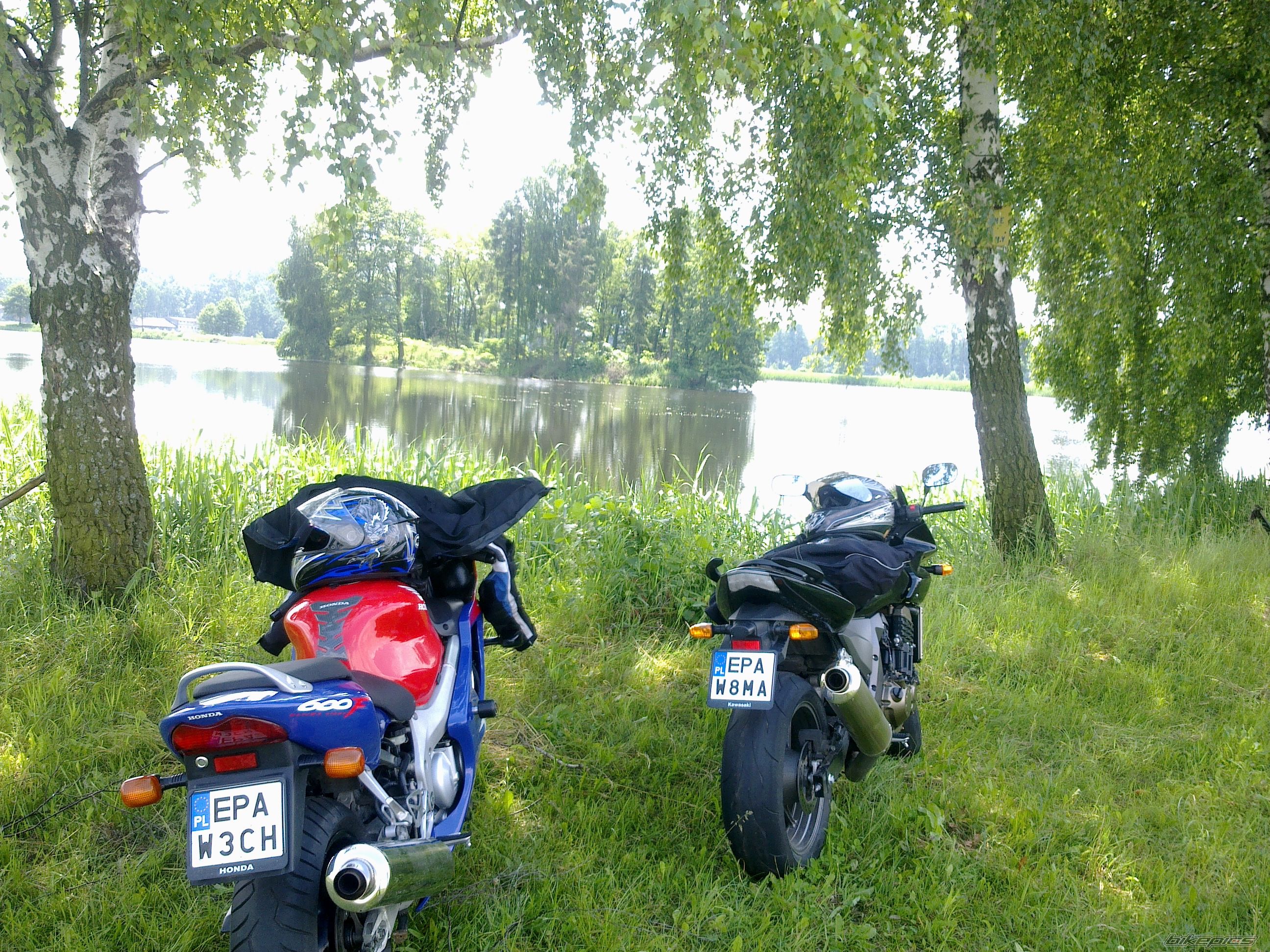 Photo 2578132