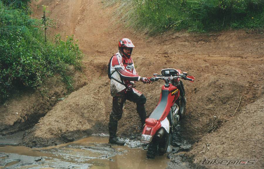 Bike Photo 257815