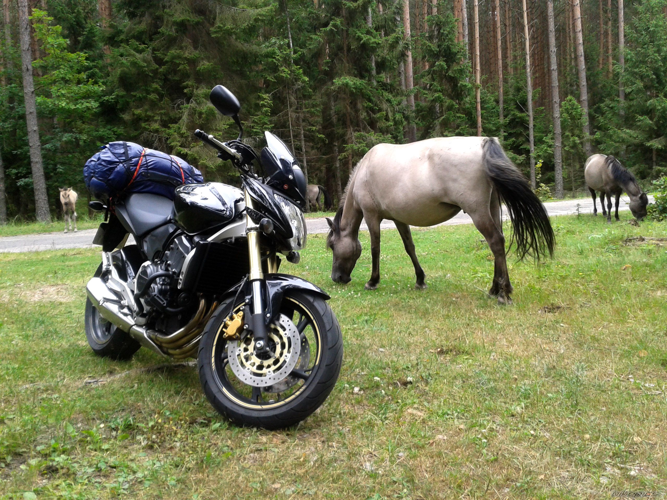 Photo 2578159
