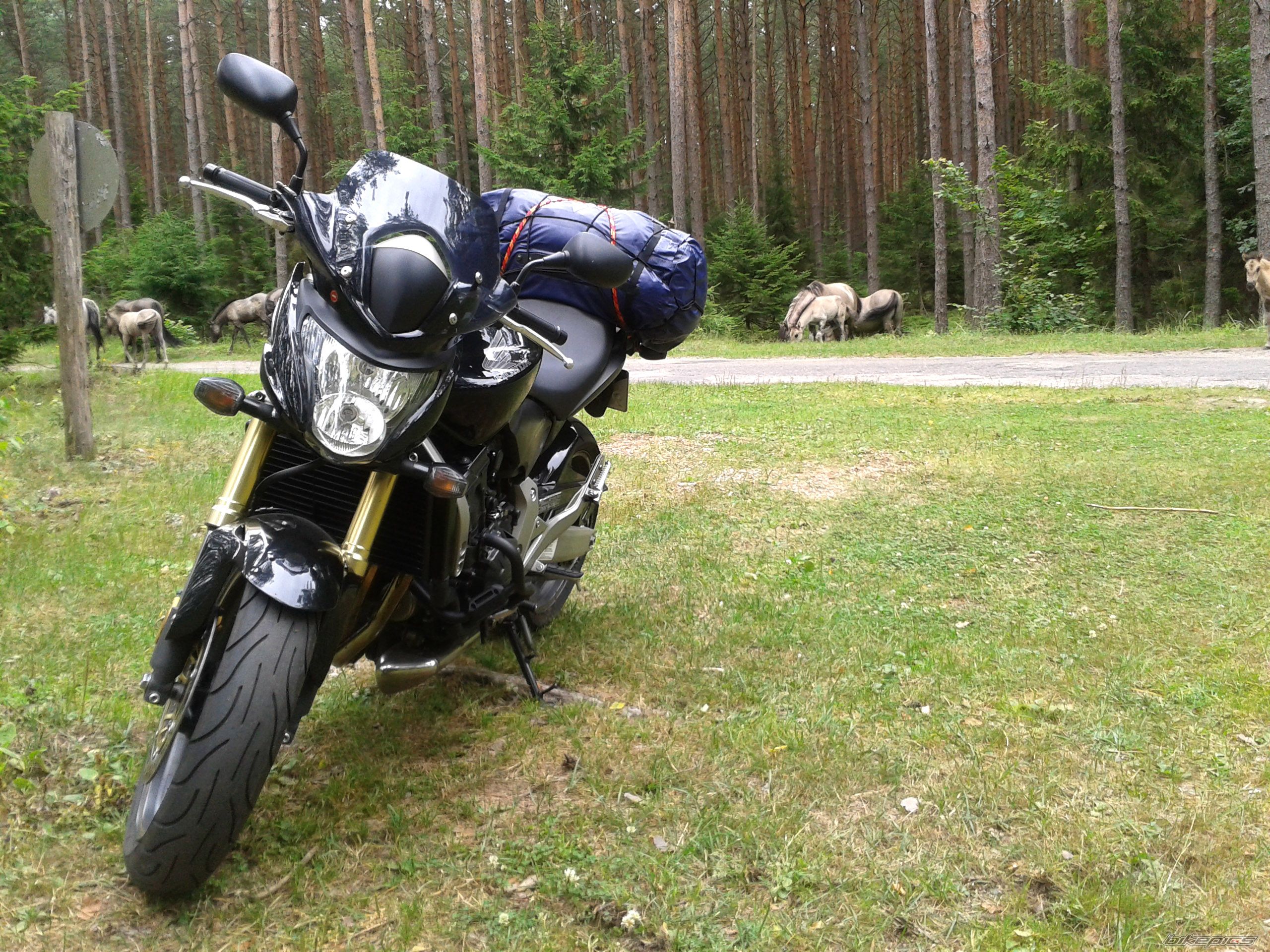 Photo 2578160
