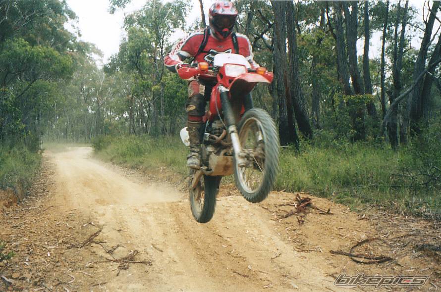 Bike Photo 257819