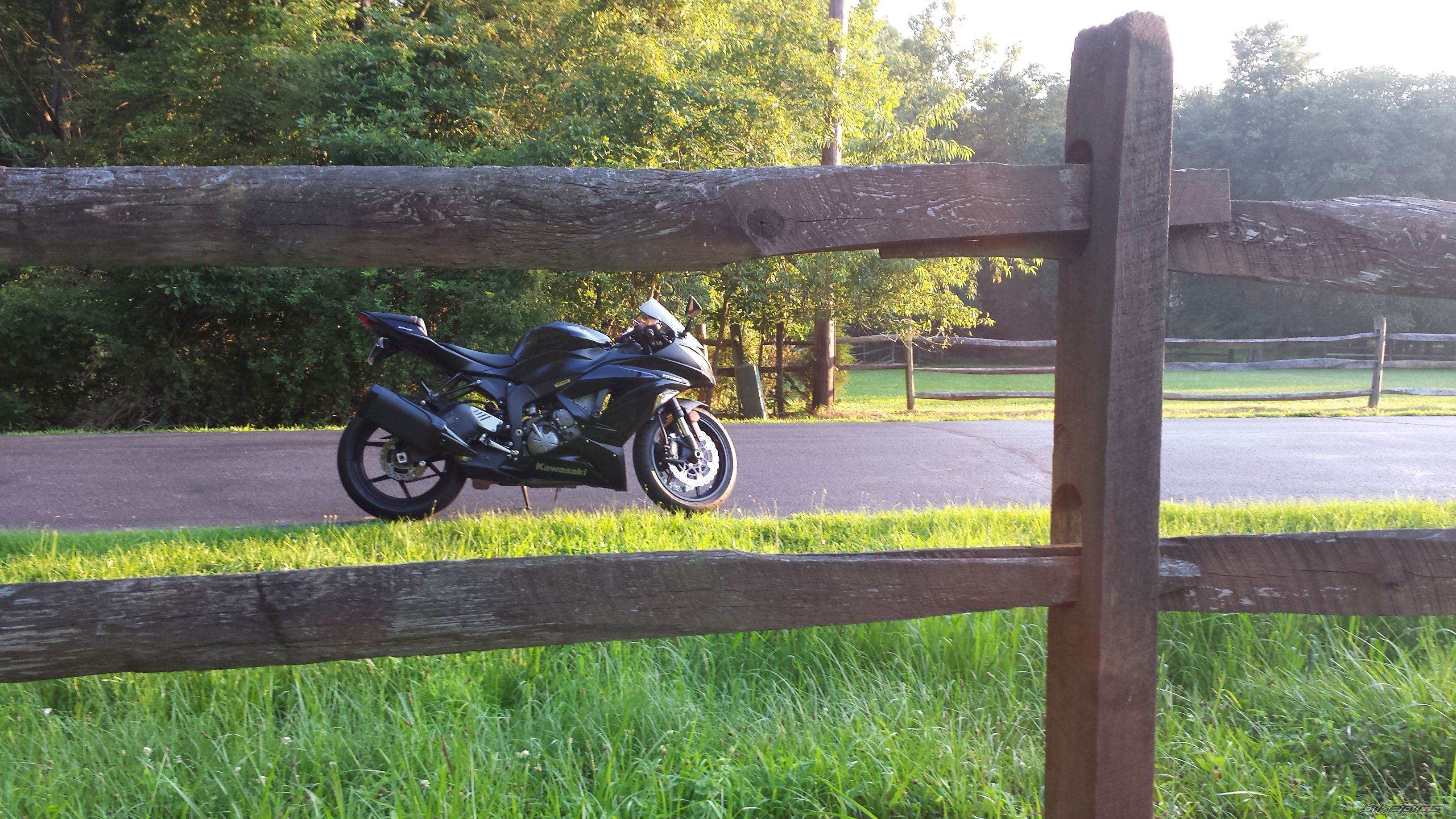 Photo 2578210