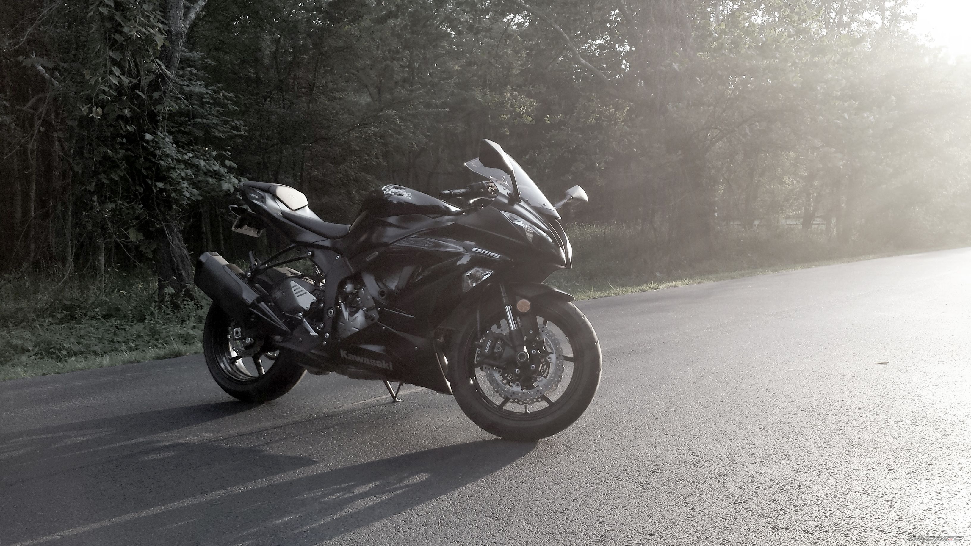 Photo 2578213