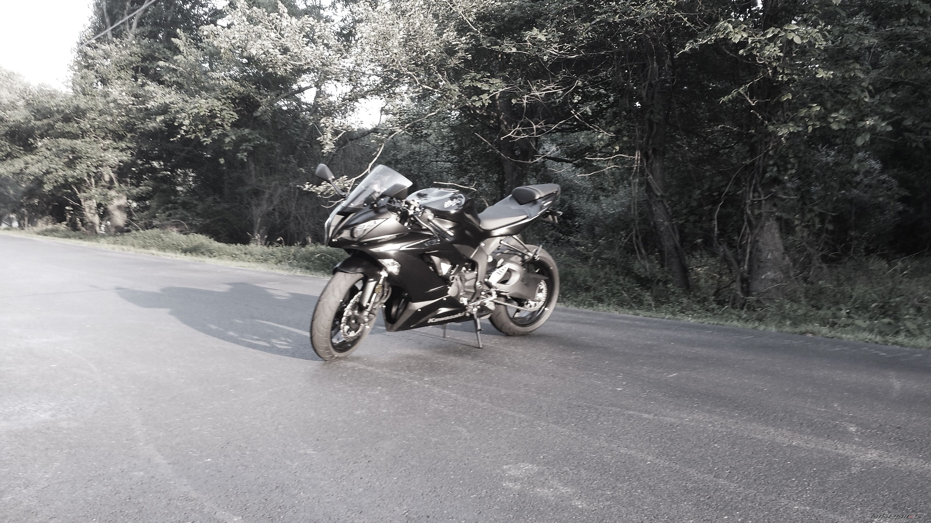 Photo 2578214