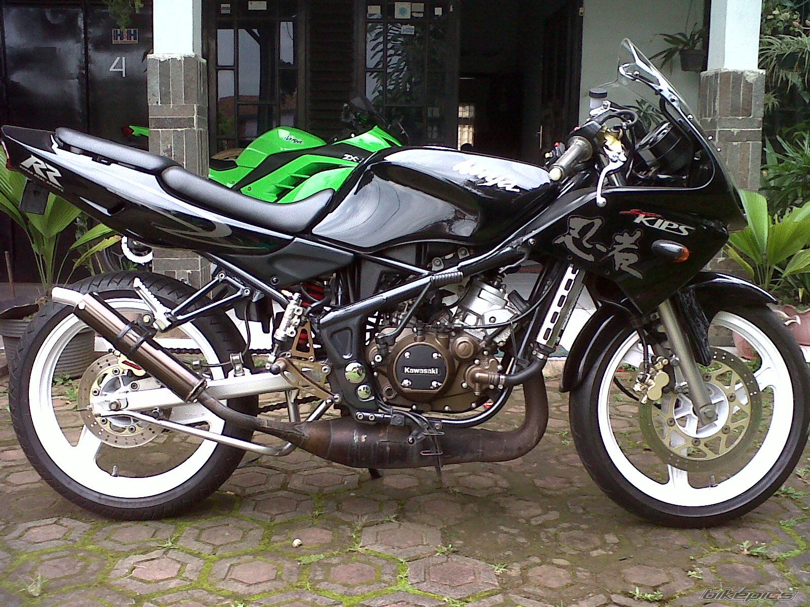 Photo 2578242