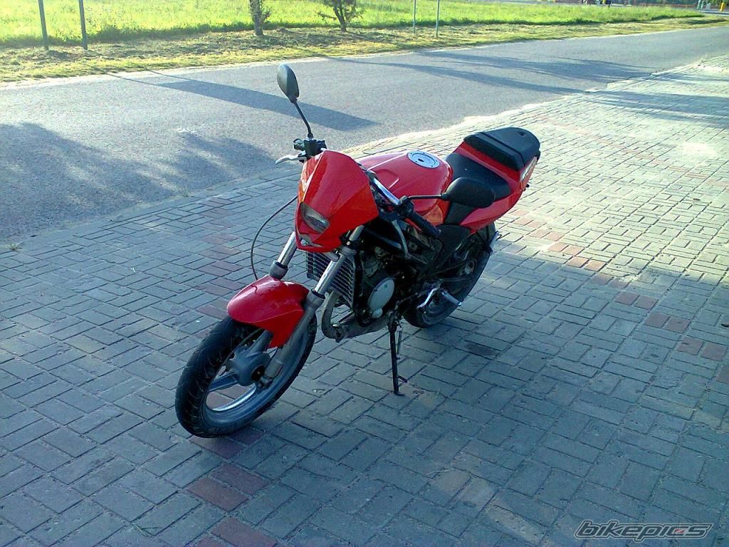 Photo 2578253