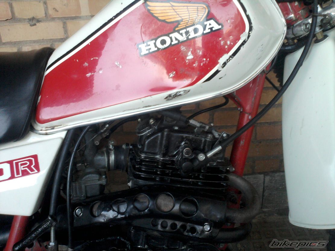 Photo 2578263