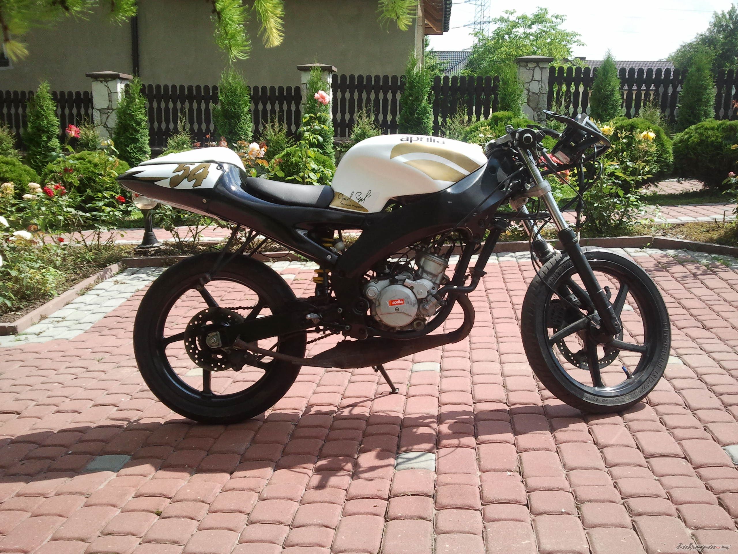 Photo 2578282