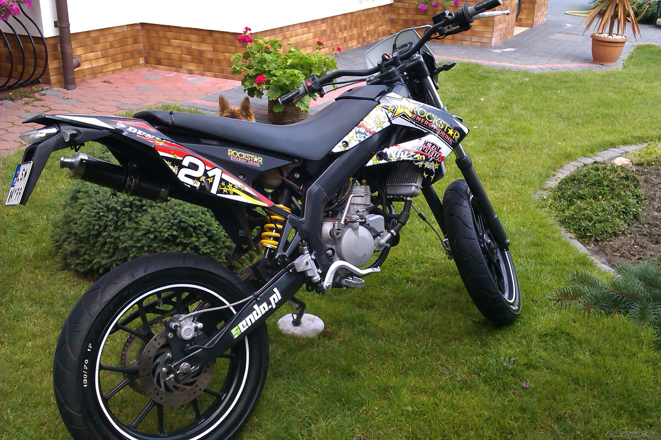 Photo 2578300