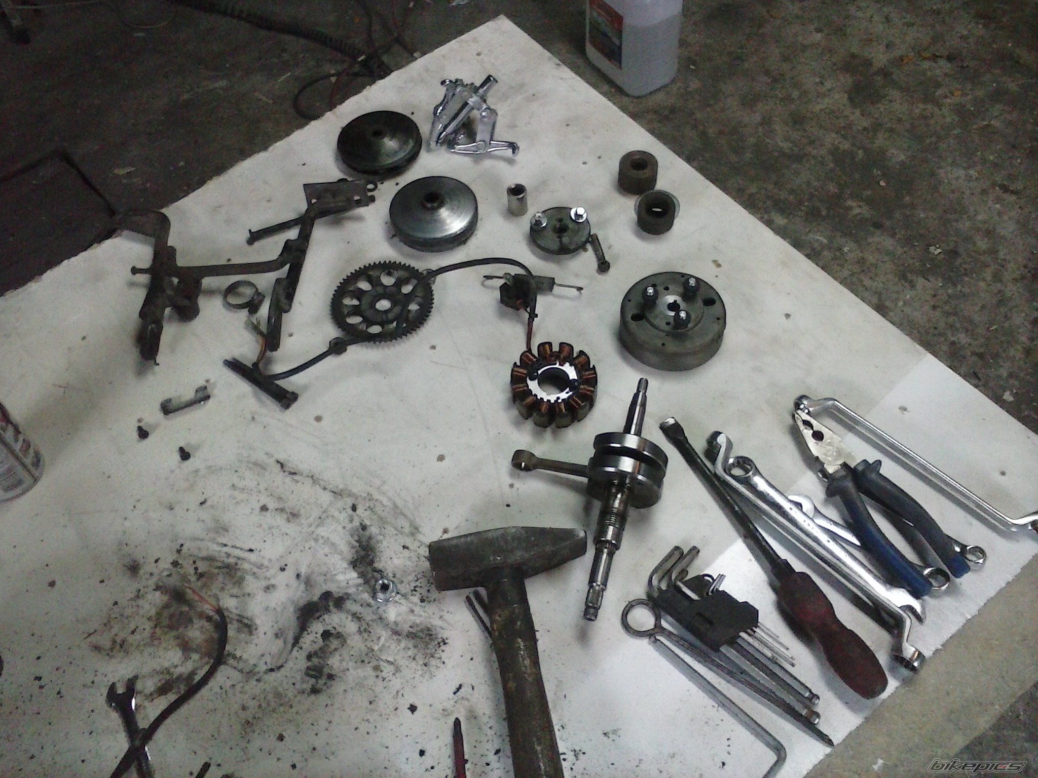 Photo 2578311