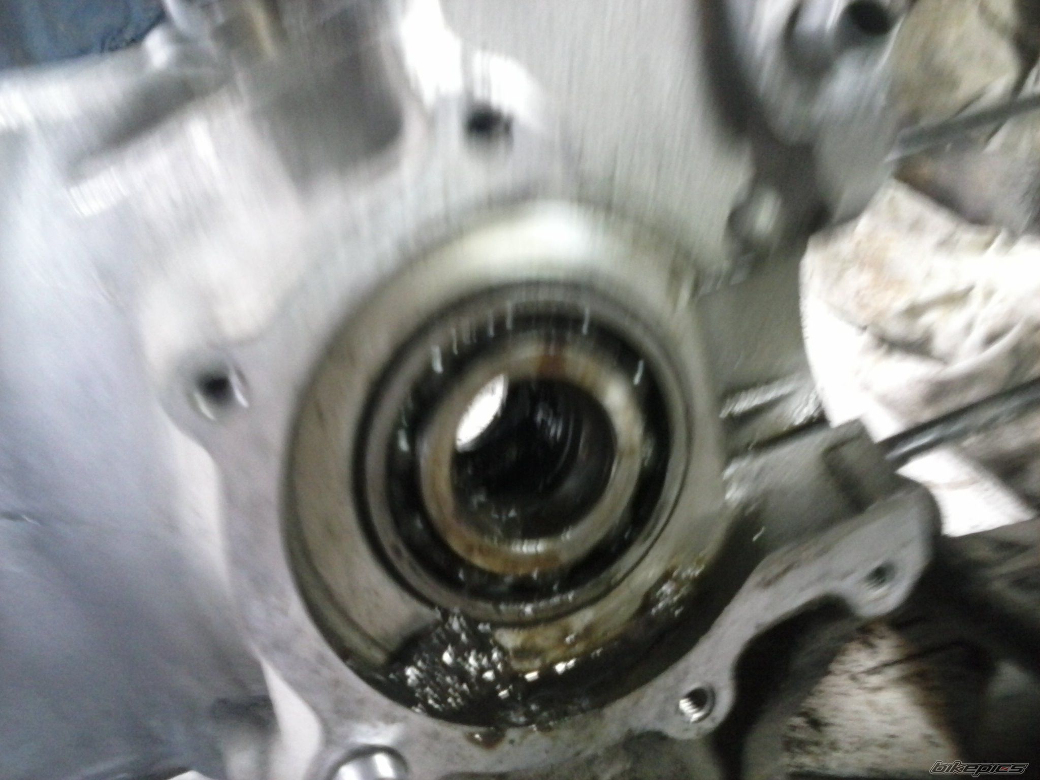 Photo 2578315