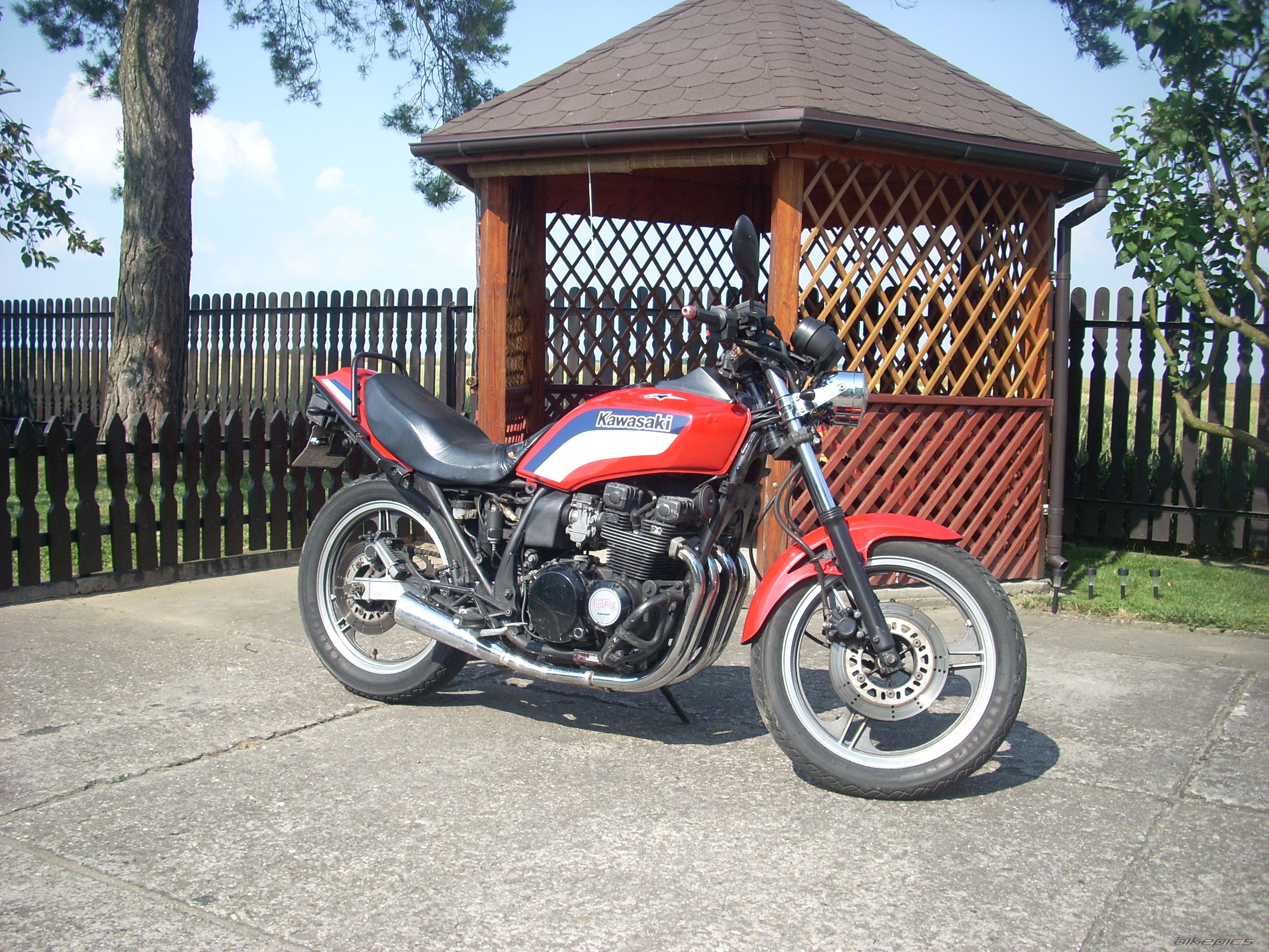 Photo 2578317