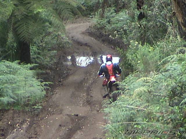 Bike Photo 257836