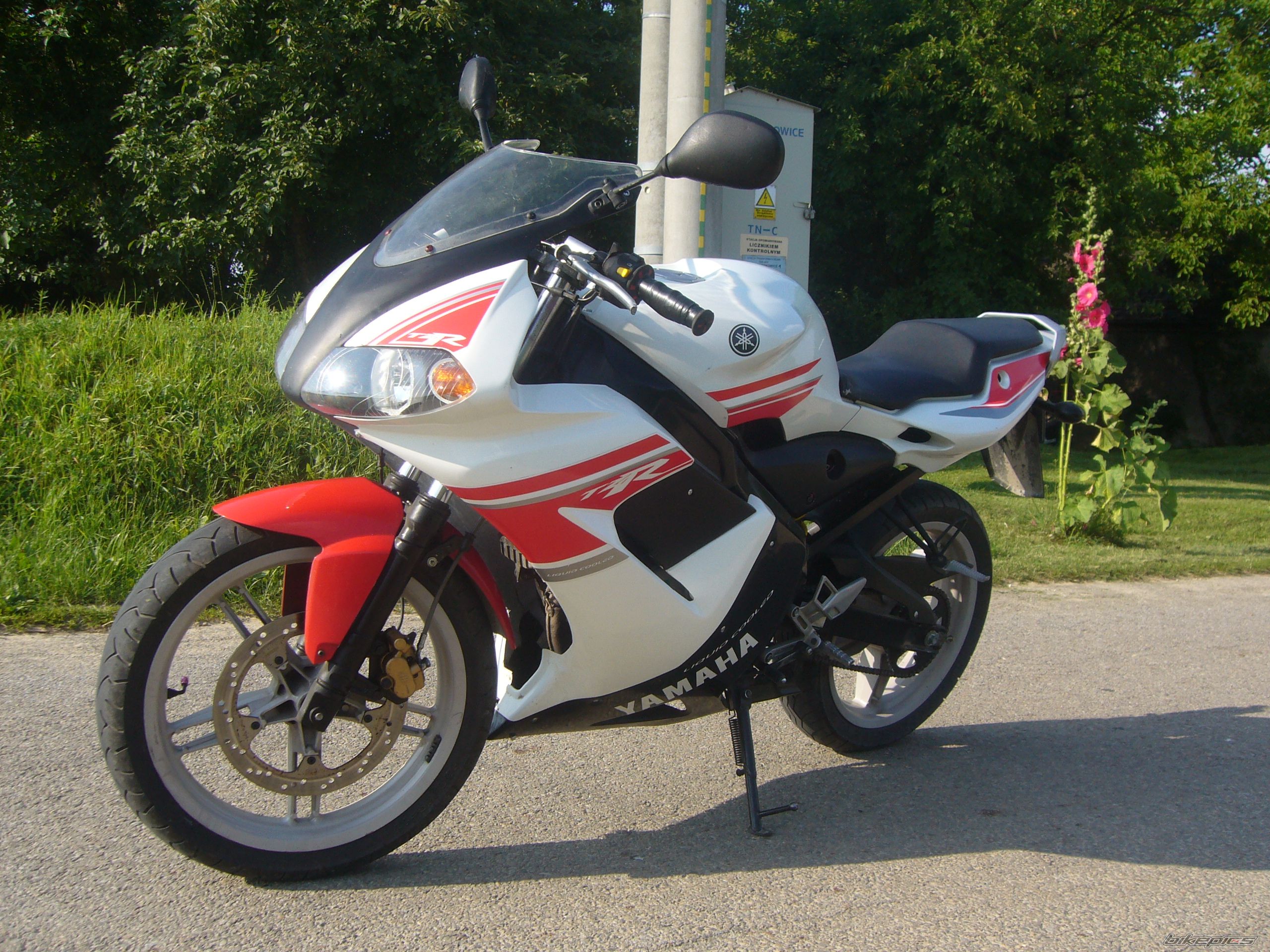 Photo 2578397