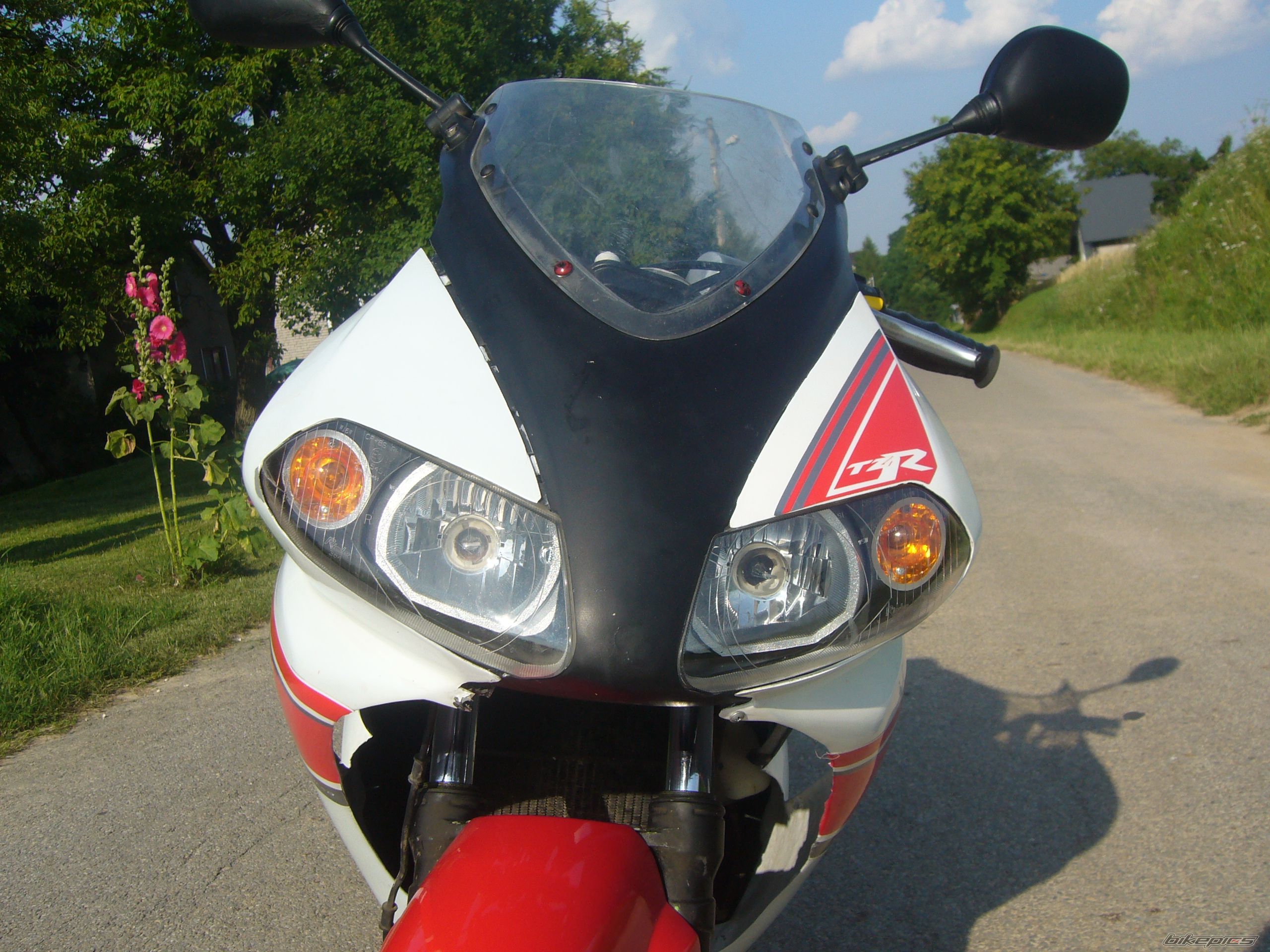 Photo 2578415