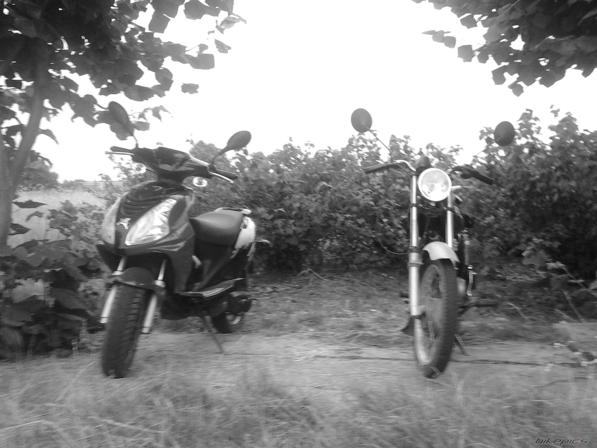 Photo 2578425