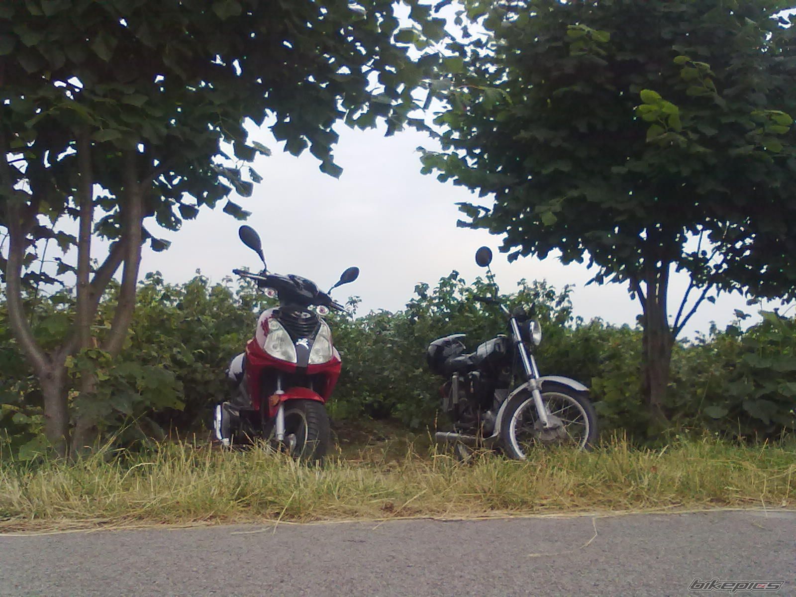 Photo 2578426