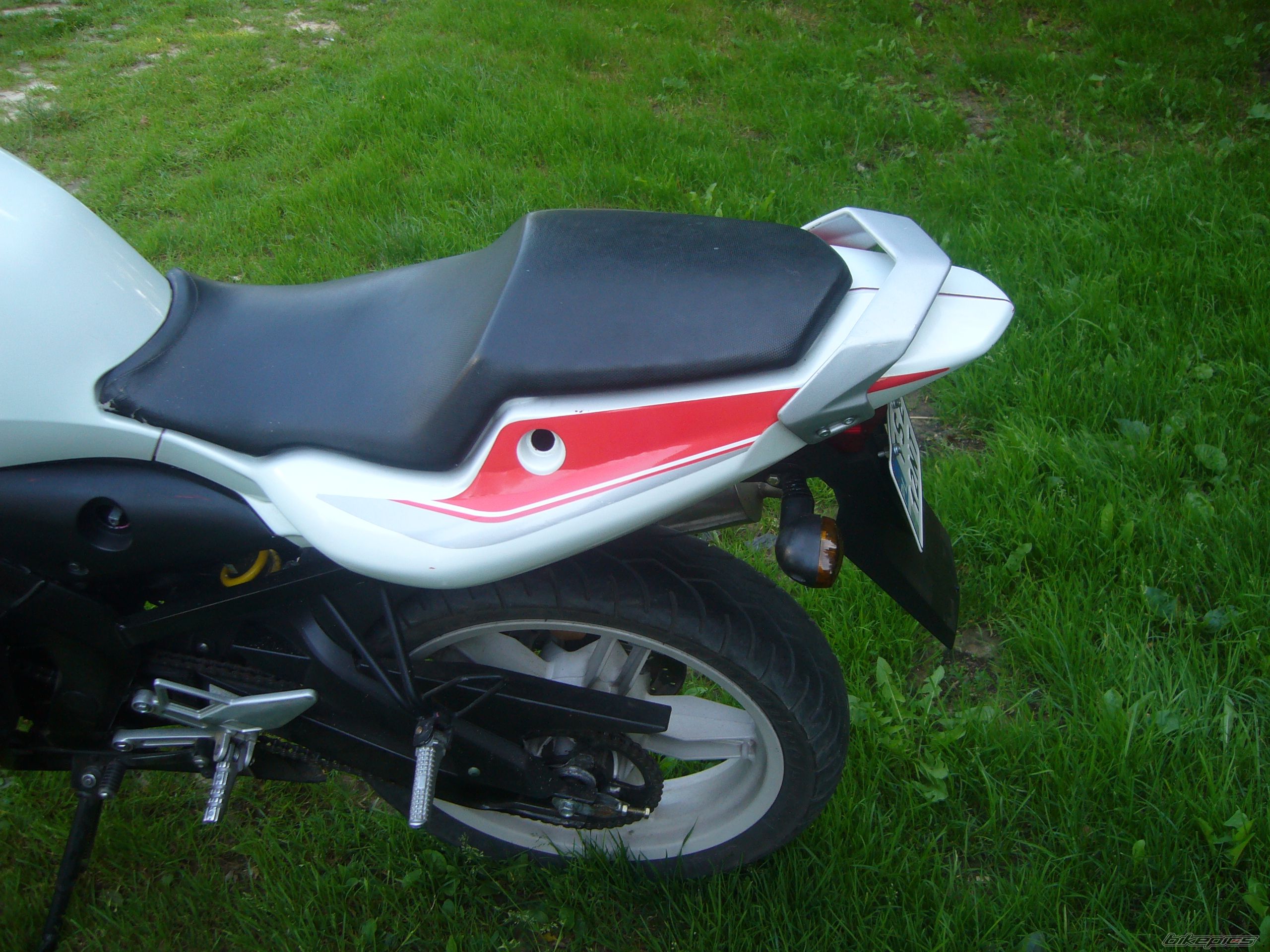 Photo 2578431