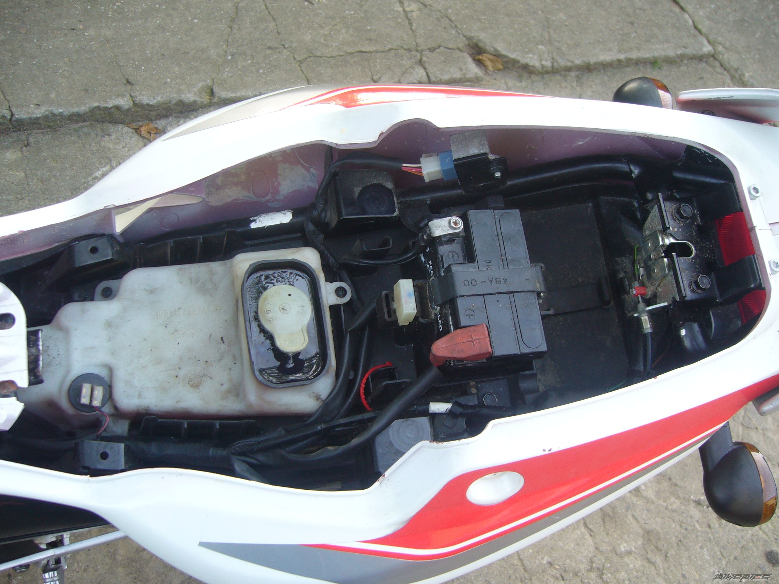 Photo 2578432