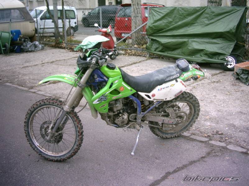 Photo 257849
