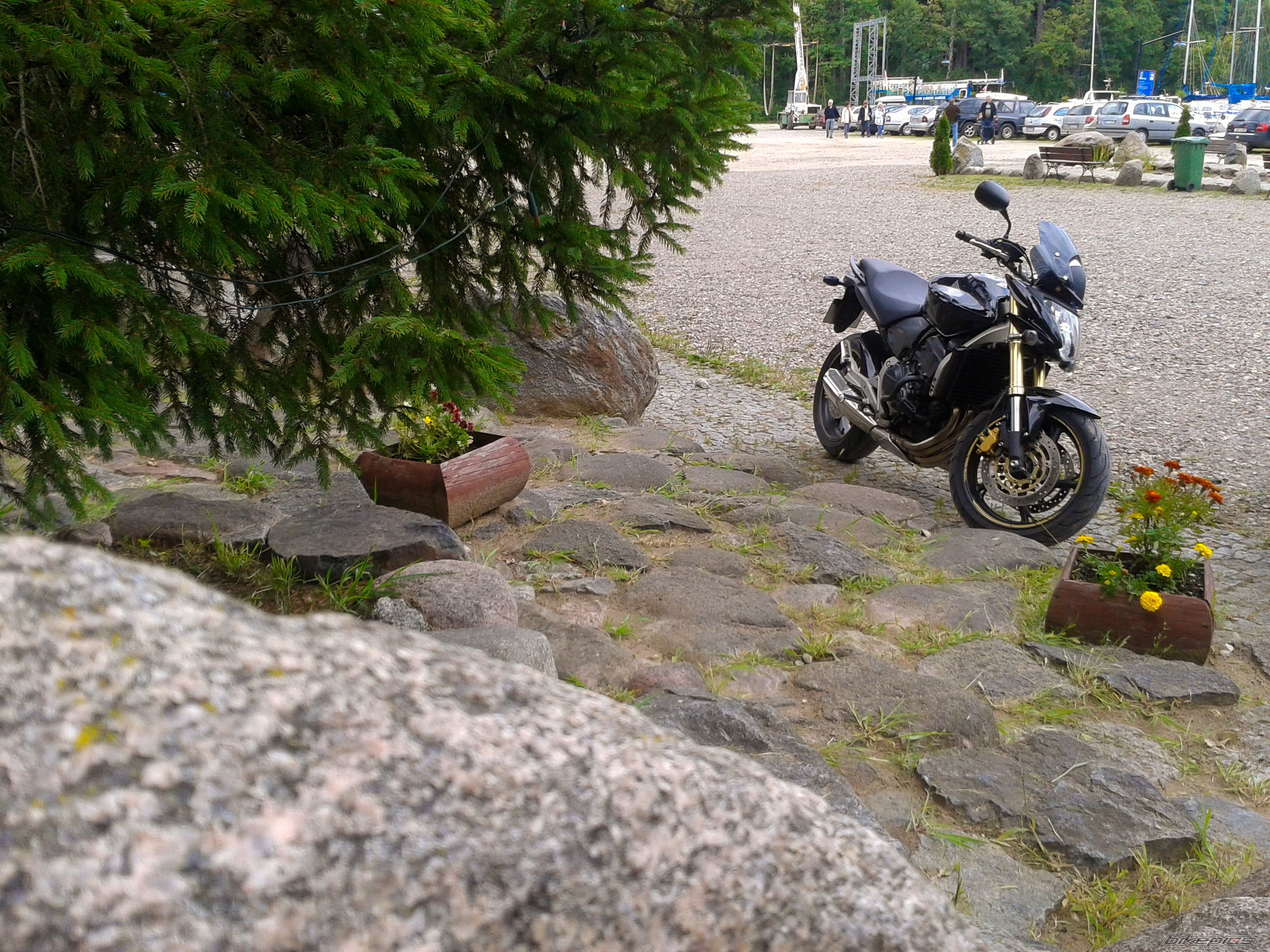 Photo 2578492