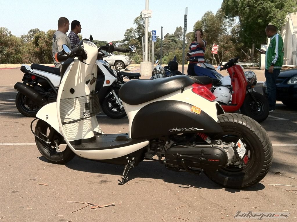Photo 2578498