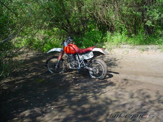 Photo 25785