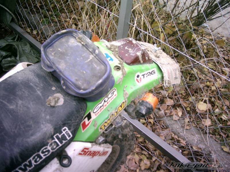Photo 257851