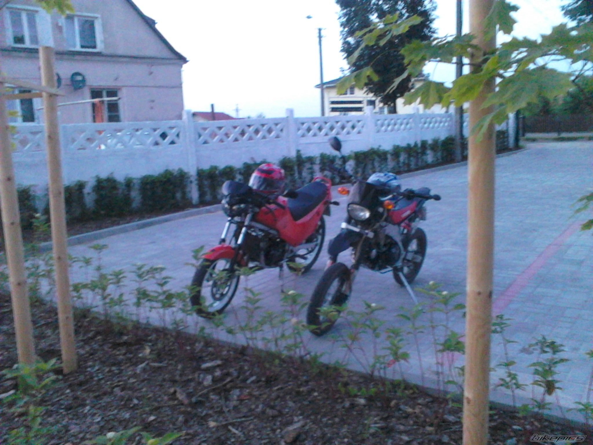 Photo 2578545