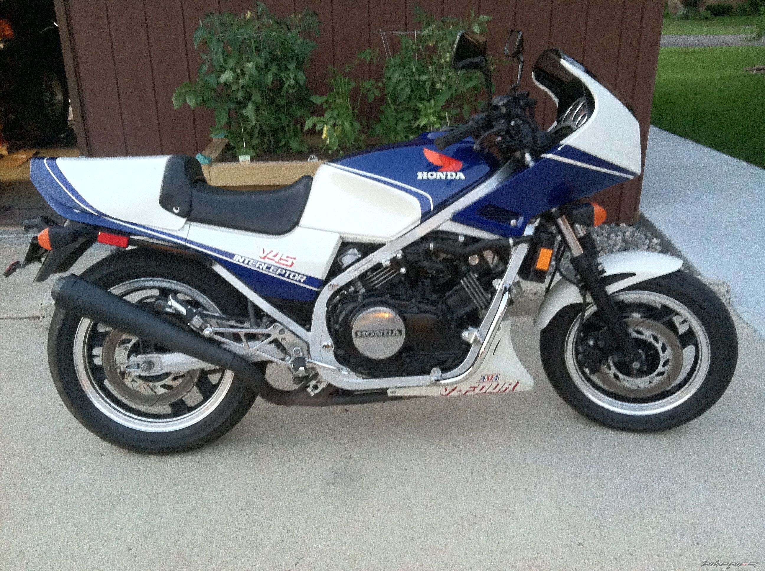 Photo 2578549
