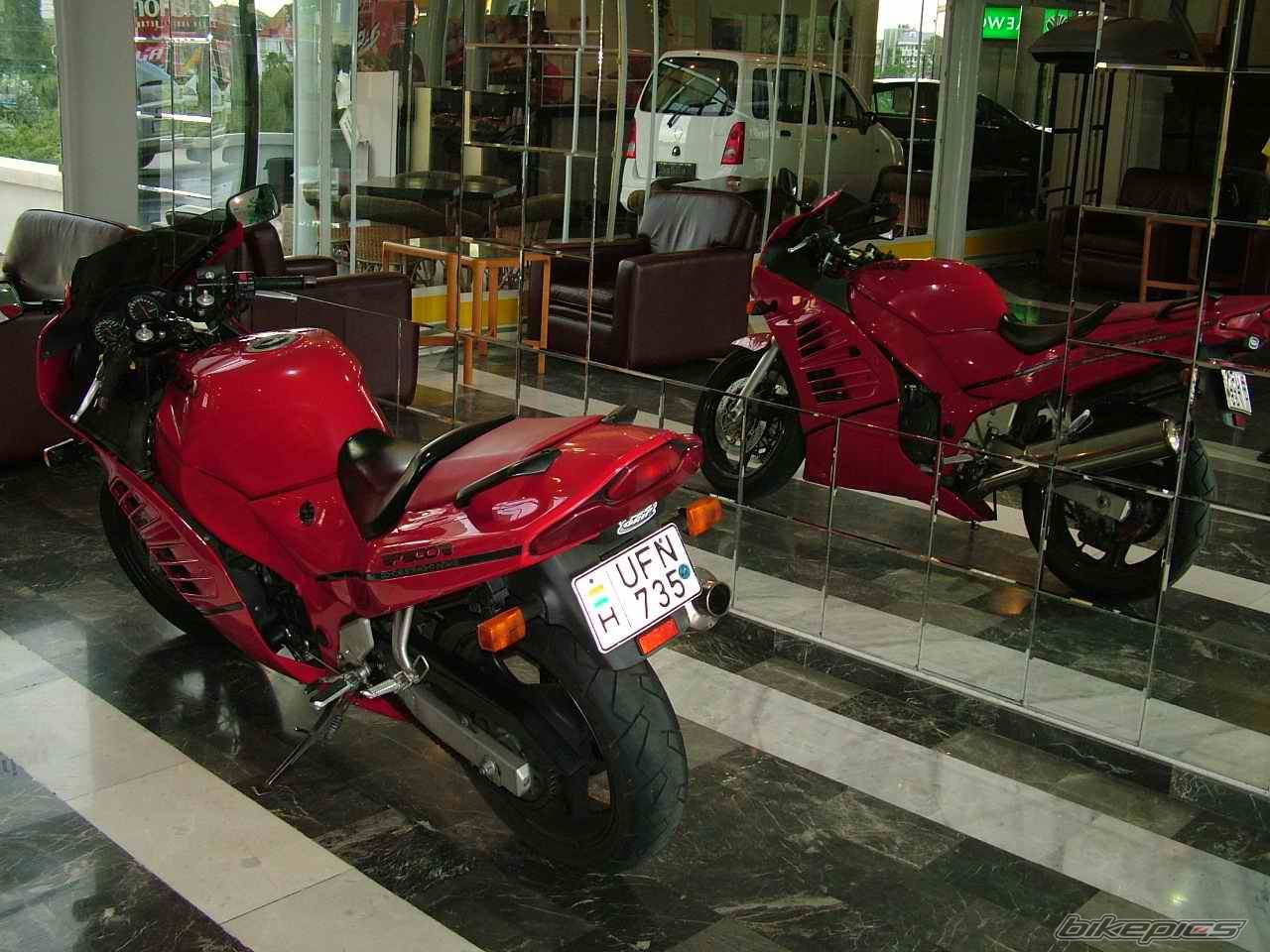 Photo 257857