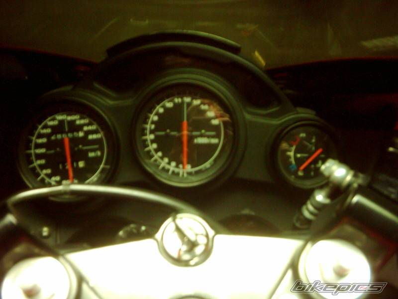 Photo 257859